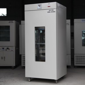 DHG-9925A大型电热鼓风干燥箱